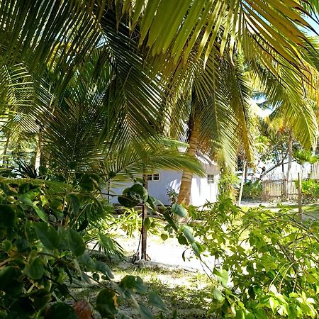Chez Gigi - Eco Lodge Mahahual Dış mekan fotoğraf