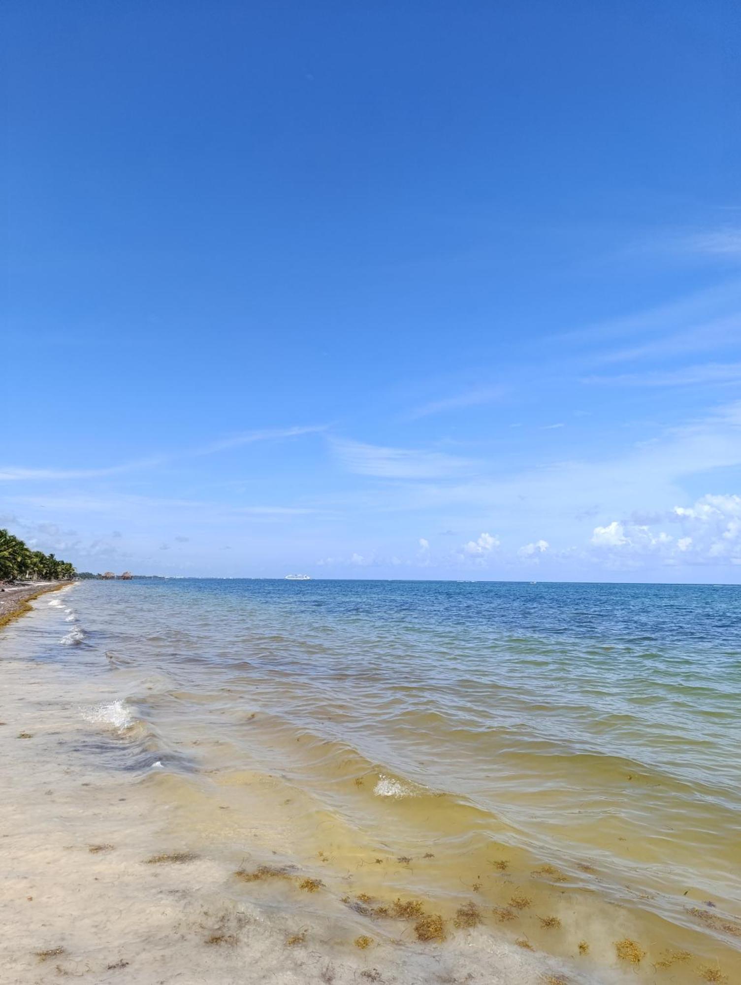 Chez Gigi - Eco Lodge Mahahual Dış mekan fotoğraf