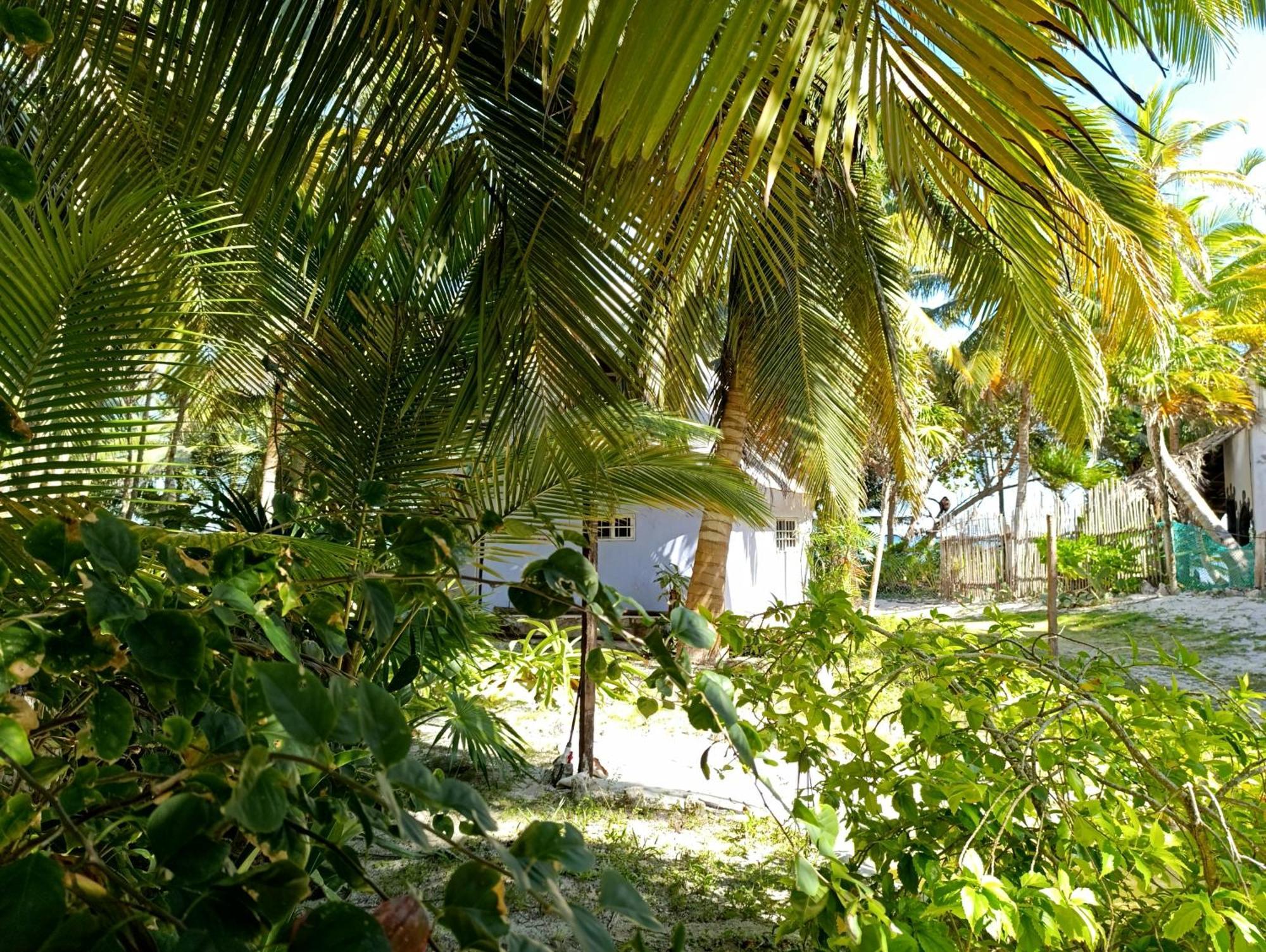 Chez Gigi - Eco Lodge Mahahual Dış mekan fotoğraf