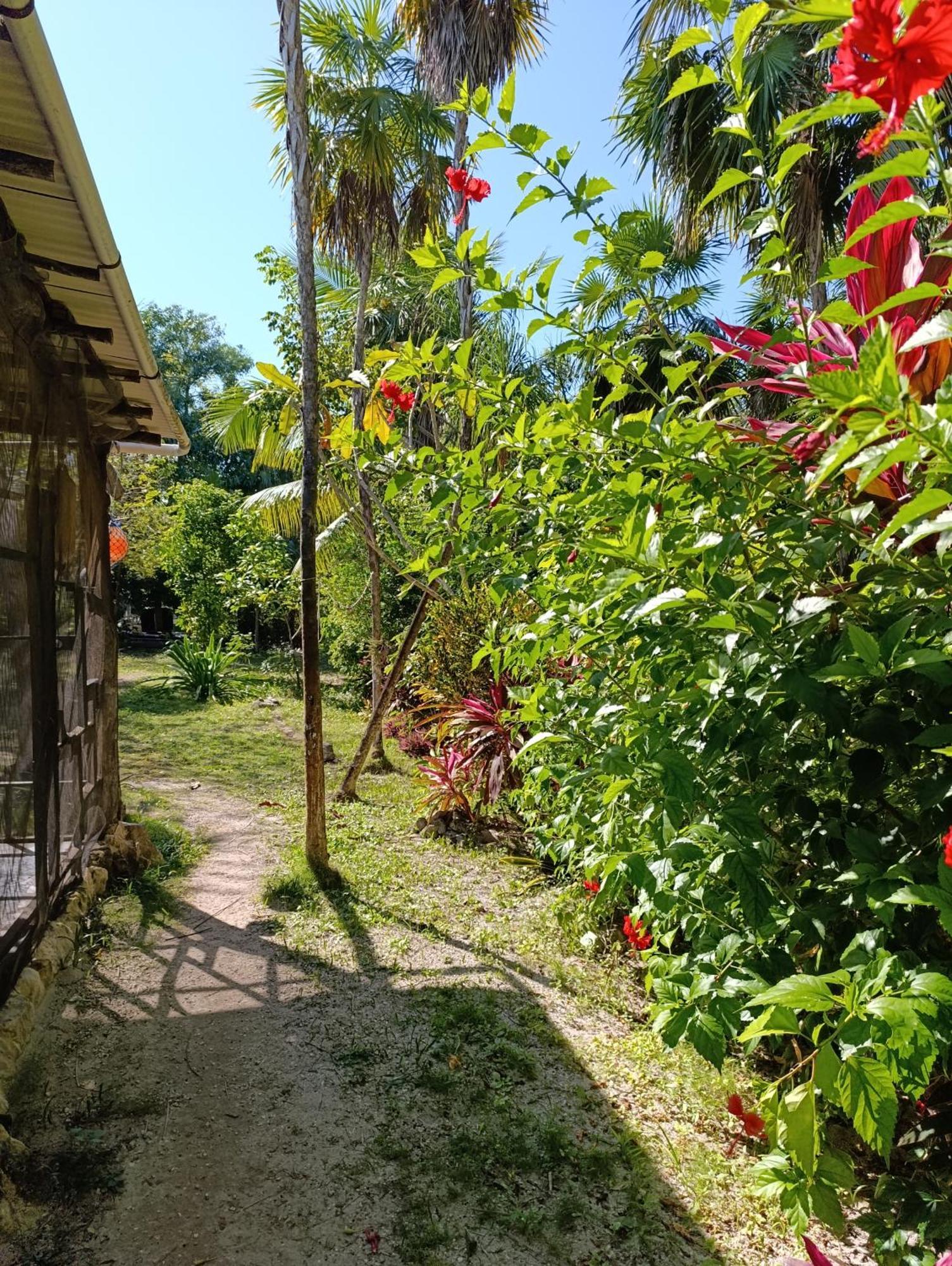 Chez Gigi - Eco Lodge Mahahual Dış mekan fotoğraf