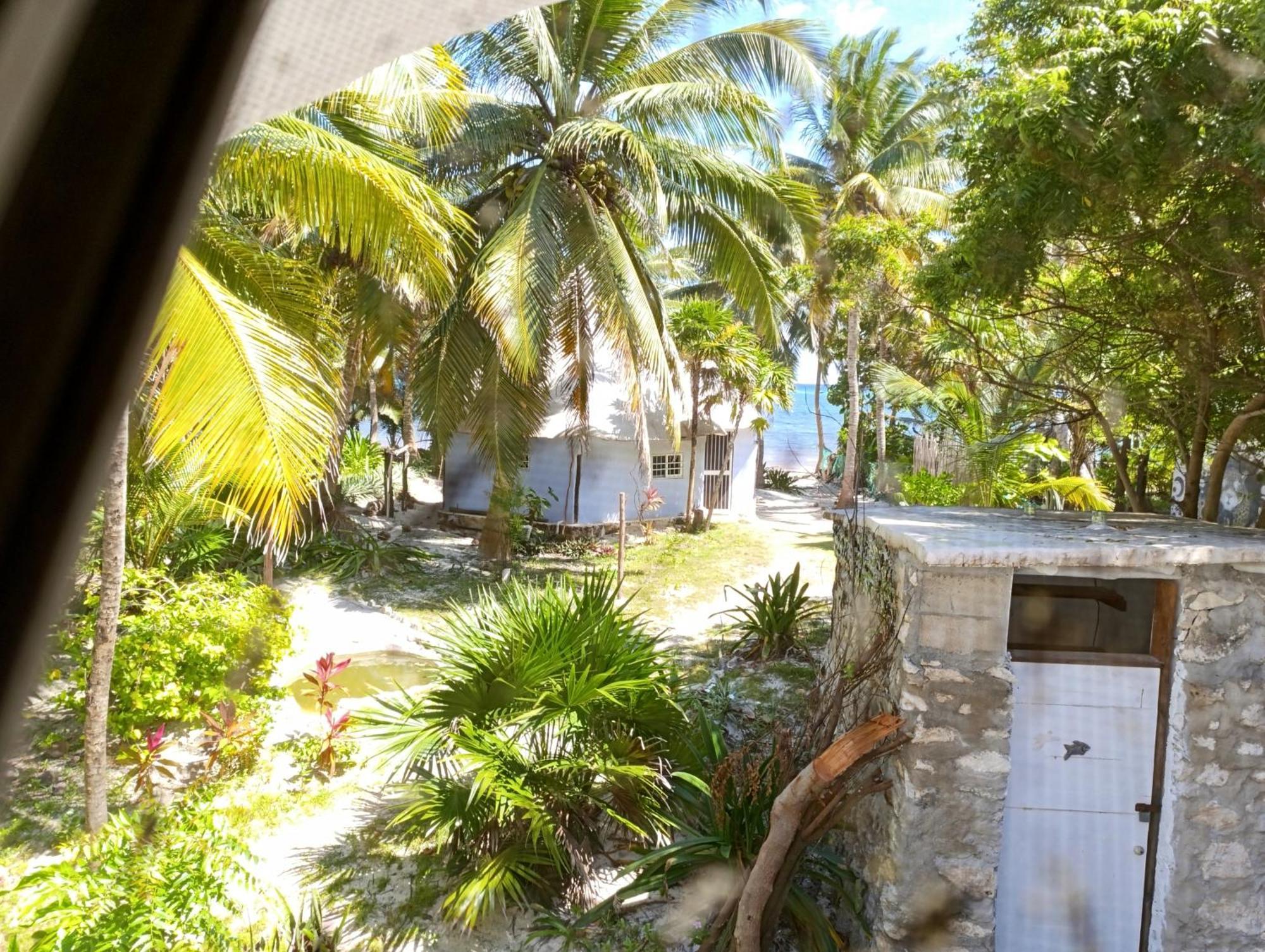 Chez Gigi - Eco Lodge Mahahual Dış mekan fotoğraf